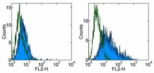 VTCN1 / B7-H4 Antibody (clone H74)