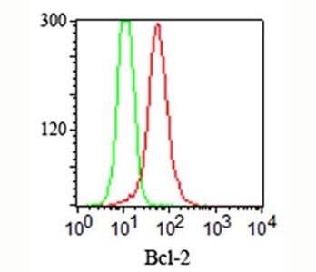 BCL2 / Bcl-2 Antibody (aa41-54, clone 100/D5 + 124, Azide-free, BSA-free)