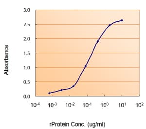 IHC-plus™ Polyclonal Goat anti-Human VHL / Von Hippel Lindau Antibody (aa167-179, IHC, WB)