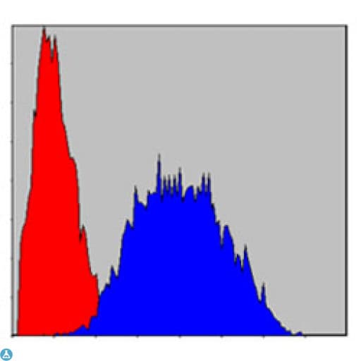 LIMS1 / PINCH Antibody