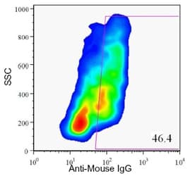 Pancreas Marker HPi3 Antibody (clone HIC1-7H10)