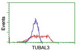 TUBAL3 Antibody (clone OTI3B7)