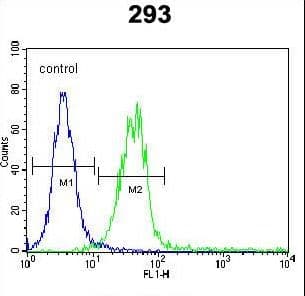 SCGF Antibody (aa145-174)