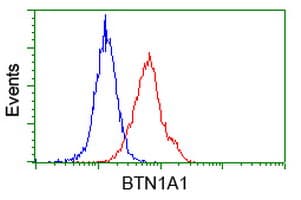 BTN1A1 Antibody (clone OTI7B5)