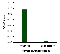 Polyclonal Goat anti-Virus Influenza A Virus Hemagglutinin Antibody
