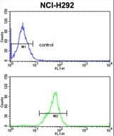 TOB1 / TOB Antibody (aa54-83)