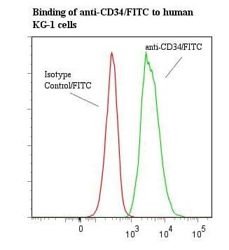 CD34 Antibody (clone 43A1, FITC)