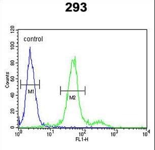 Polyclonal Rabbit anti-Human Endostatin Antibody (aa237-263, WB)