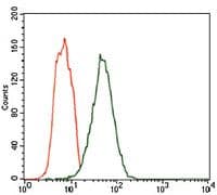 Monoclonal Mouse anti-Human FcERI / Fc Epsilon RI Antibody (clone 1F2A9, Amino Acid: 42-103, WB)