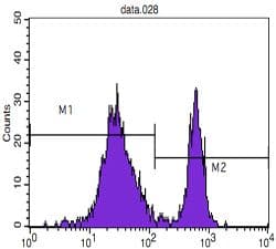 CD4 Antibody (clone B486A1)