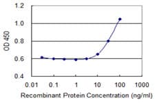 MSH2 Antibody (clone 2G9)
