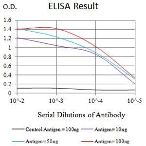 FCGR3B / CD16B Antibody (clone 8F1C10)