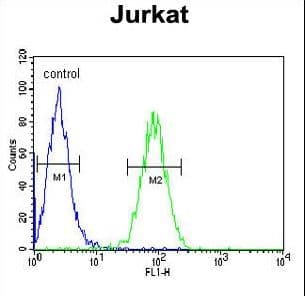 CLDN22 / Claudin 22 Antibody (aa90-117)