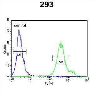 REG3A Antibody (aa12-39)