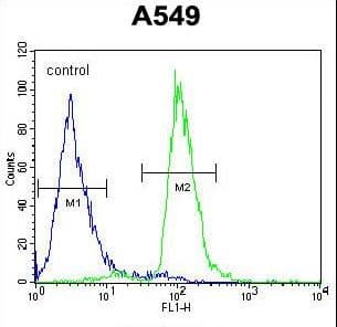 IHC-plus™ PARPBP / C12orf48 Antibody (aa522-550)