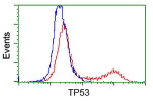TP53 / p53 Antibody (clone OTI3A6)