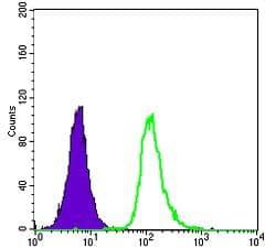 SMN1 Antibody (clone 2F1)