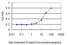 USP34 Antibody (clone 2E2)