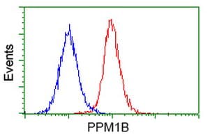 PPM1B Antibody (clone OTI3E10, Carrier-free)