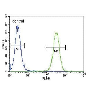 INHBA / Inhibin Beta A Antibody (aa85-112)
