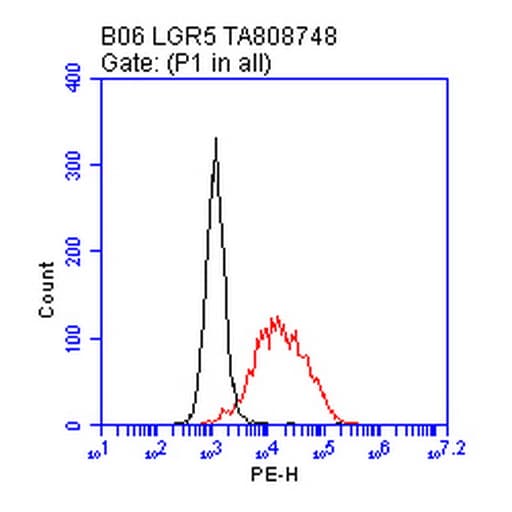 GPR49 / LGR5 Antibody (aa22-543, clone OTI3F1)