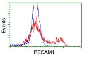 PECAM-1 / CD31 Antibody (clone OTI2E4)