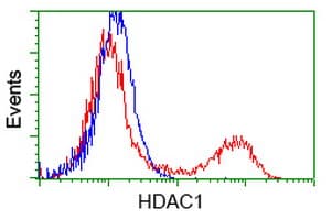 HDAC1 Antibody (clone OTI2E9)