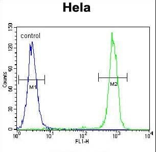 CPB / Carboxypeptidase B Antibody (aa9-37)