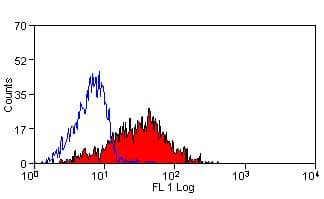 TLN1 / Talin 1 Antibody (clone TA205)