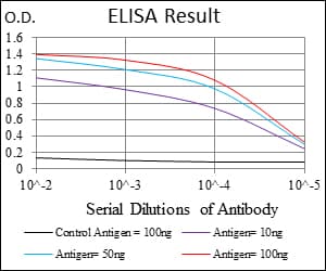 UBB / Ubiquitin B Antibody (clone 3C12)