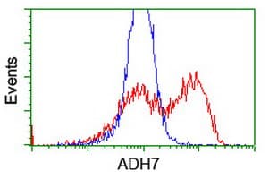 ADH7 Antibody (clone OTI2H10)