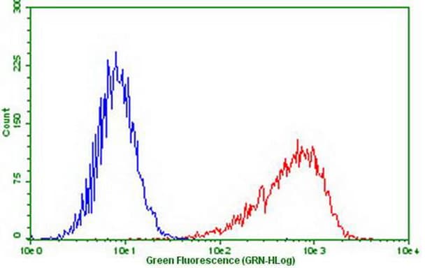 Monoclonal Mouse anti-Human PDCD1 / CD279 / PD-1 Antibody (clone OTI22A9, IF, WB)