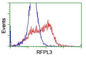 RFPL3 Antibody (clone OTI2B6)