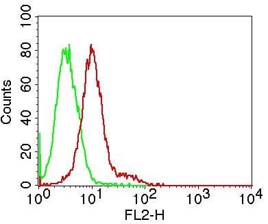 TNFSF11 / RANKL / TRANCE Antibody