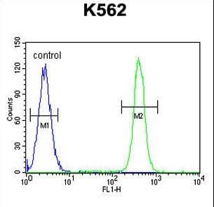 MOGAT1 / MGAT1 Antibody (aa303-335)