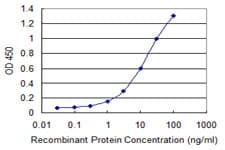 Monoclonal Mouse anti-Human IGSF6 Antibody (clone 1A10, WB)