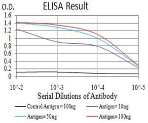 AURKA / Aurora-A Antibody (aa268-404, clone 4H5A8)