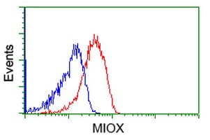 KSP32 / MIOX Antibody (clone OTI1C5)