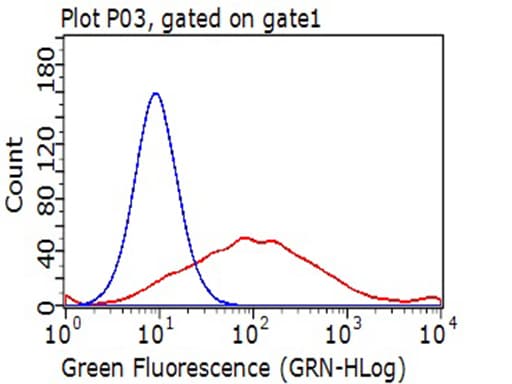 TNFRSF4 / CD134 / OX40 Antibody (clone OTI2B7)