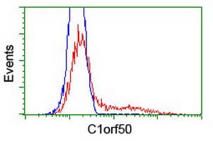 C1orf50 Antibody (clone OTI 1E1)