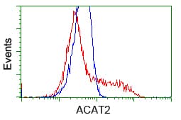 ACAT2 Antibody (clone OTI3C9)
