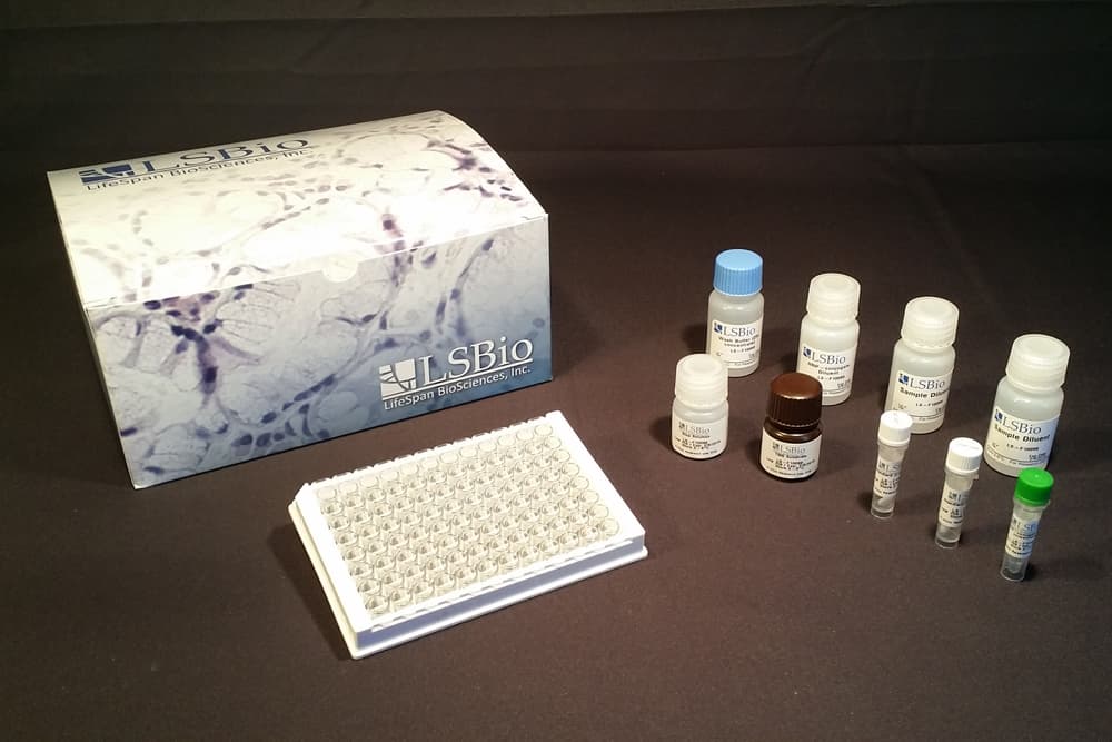 Human APOO / Apolipoprotein O ELISA Kit (Competitive EIA)