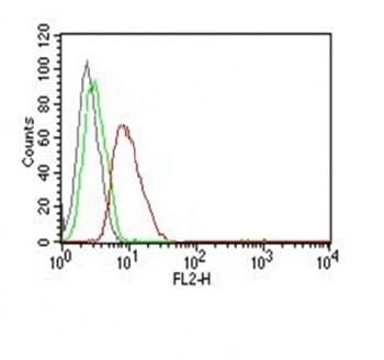 CCND1 / Cyclin D1 Antibody (clone SPM587, Azide-free, BSA-free)