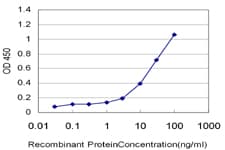 ZNF92 Antibody (clone 1F2)