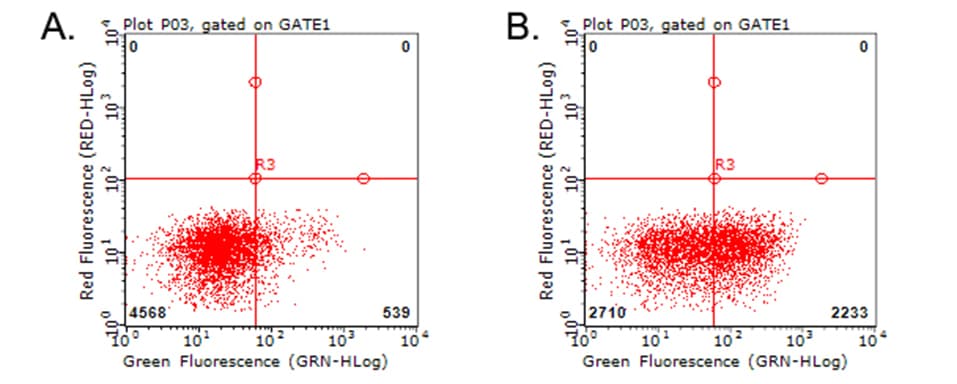HAVCR2 / TIM-3 Antibody (clone OTI2E11)
