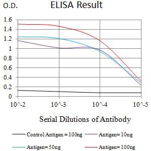 FCGRT / FCRN Antibody (clone 5F3D1)