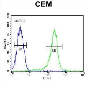 HAUS5 Antibody (aa139-167)