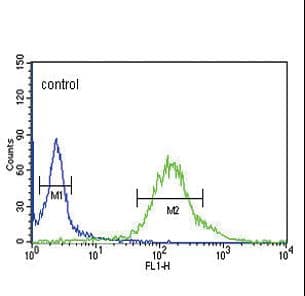 GTSE1 Antibody (aa690-717)