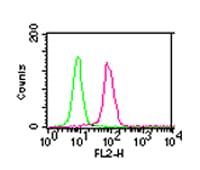 Monoclonal Mouse anti-Human CHUK / IKKA / IKK Alpha Antibody (clone 14A231, Azide-free, IHC, WB)