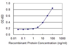 Monoclonal Mouse anti-Human SNRPB2 Antibody (clone 2F4)